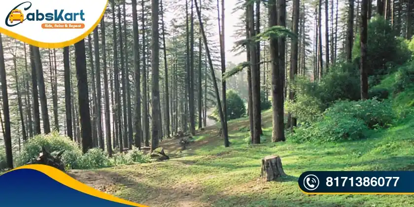 Dehradun to Dhanaulti Cab Service